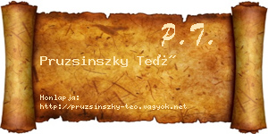 Pruzsinszky Teó névjegykártya
